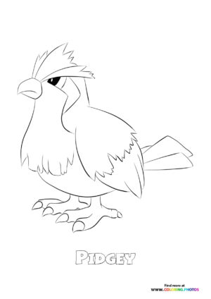 Pidgeey