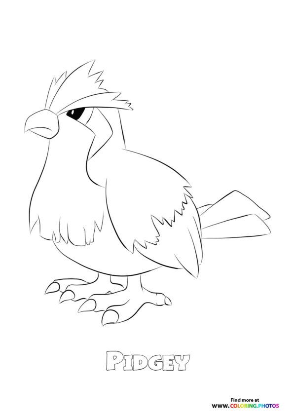 Pidgeey