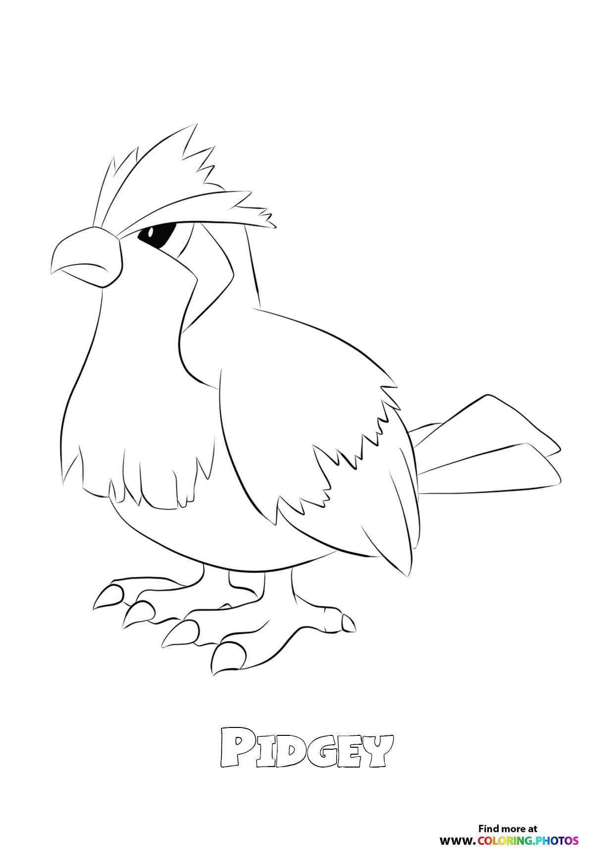 Pidgeey