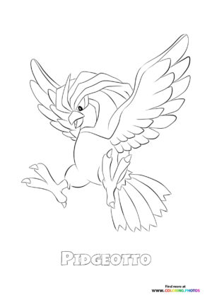 Pidgeotto