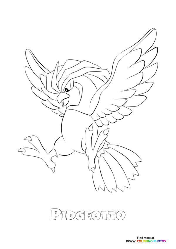 Pidgeotto