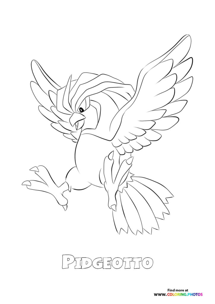 Pidgeotto