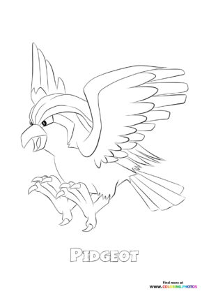 Pidgeot