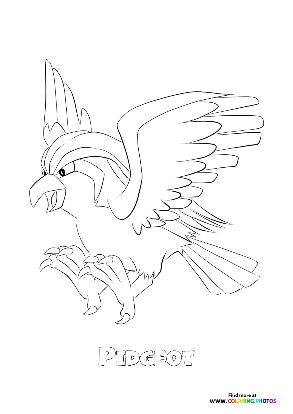 Pidgeot