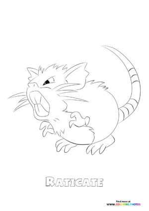 rat Pokemon