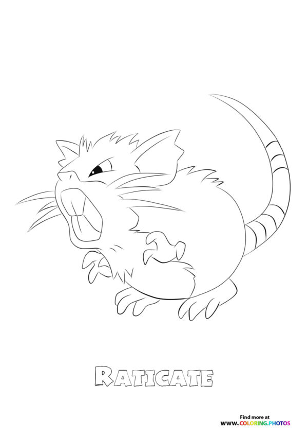 Raticate