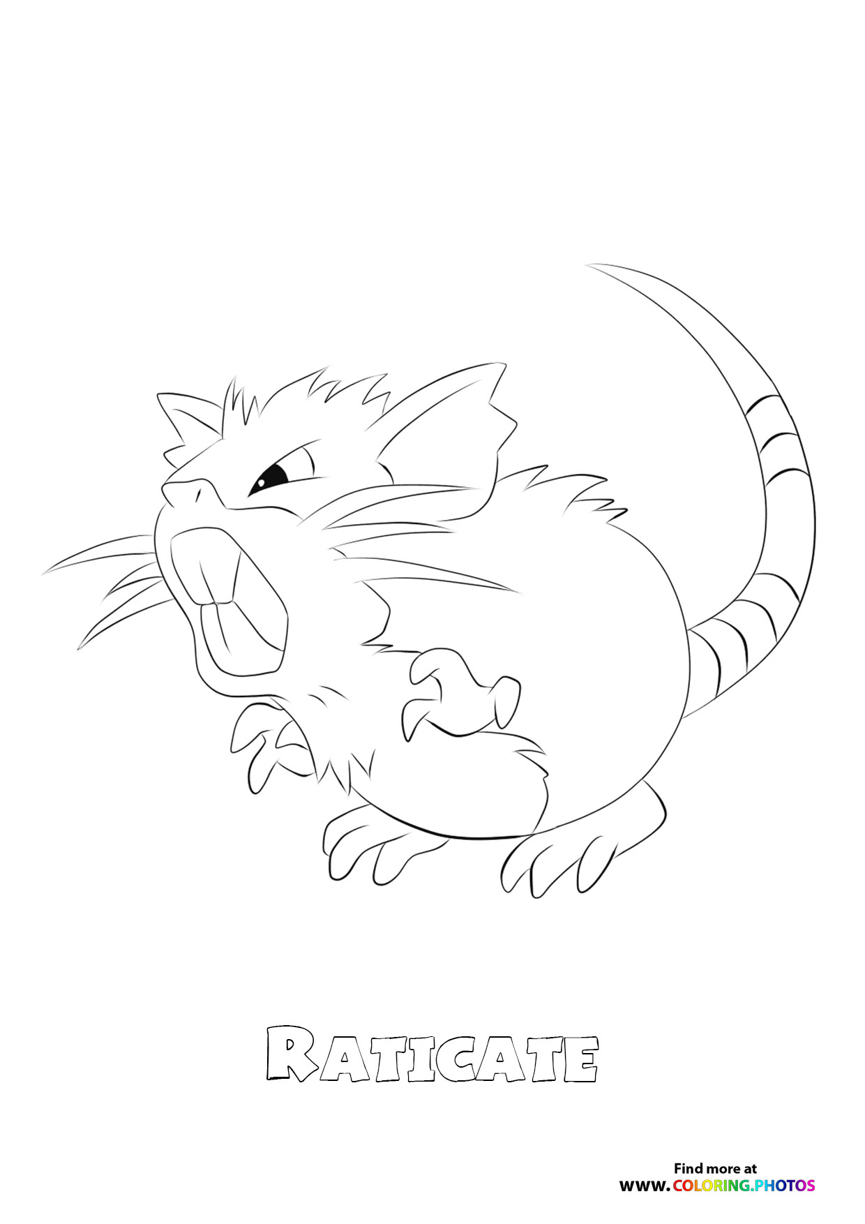 Raticate