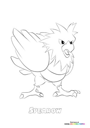 Spearow