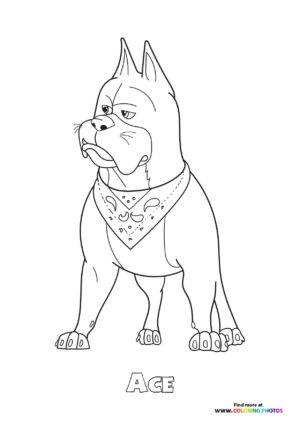 Ace the Great Dane