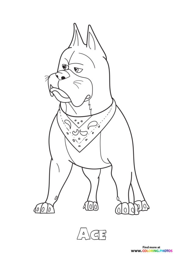 Ace Super Pet coloring page
