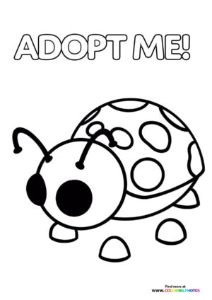 Ladybug Pet
