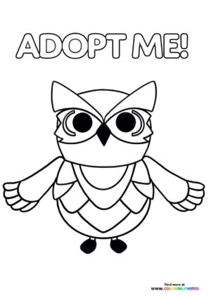 Owl Pet