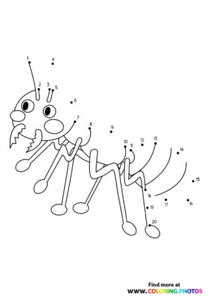 Ant dot the dots