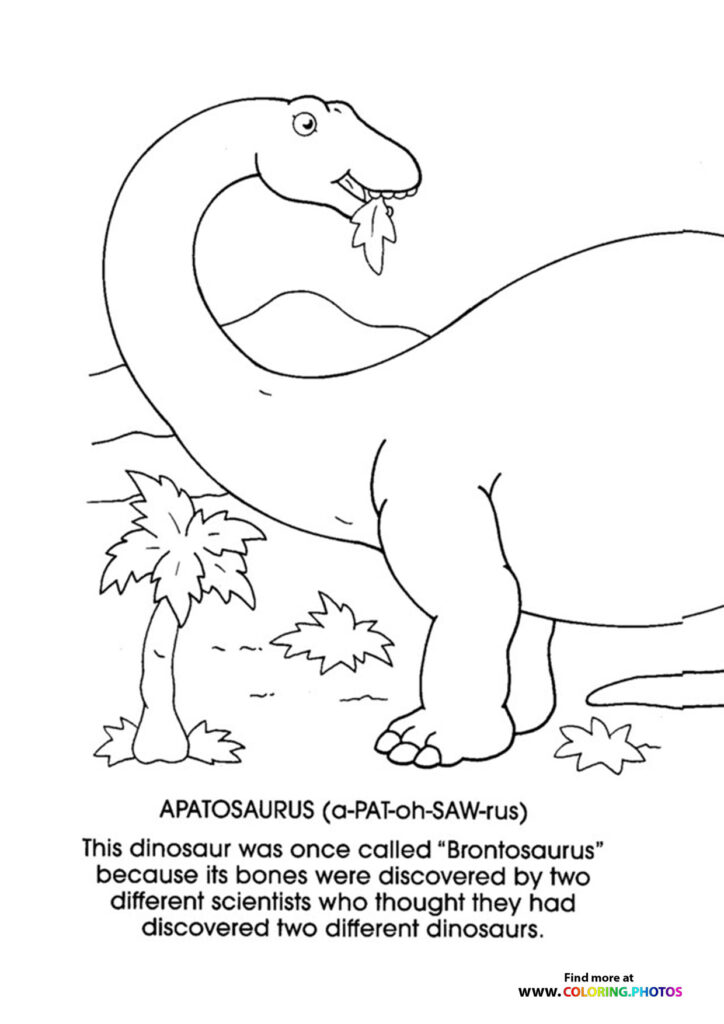 Apatosaurus1