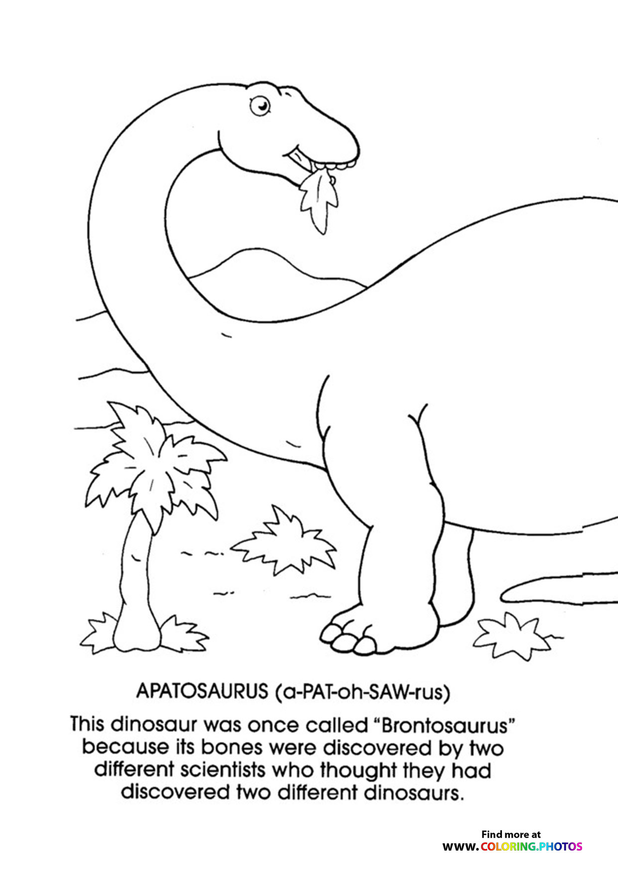 Apatosaurus1