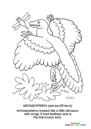 Archaeopterys