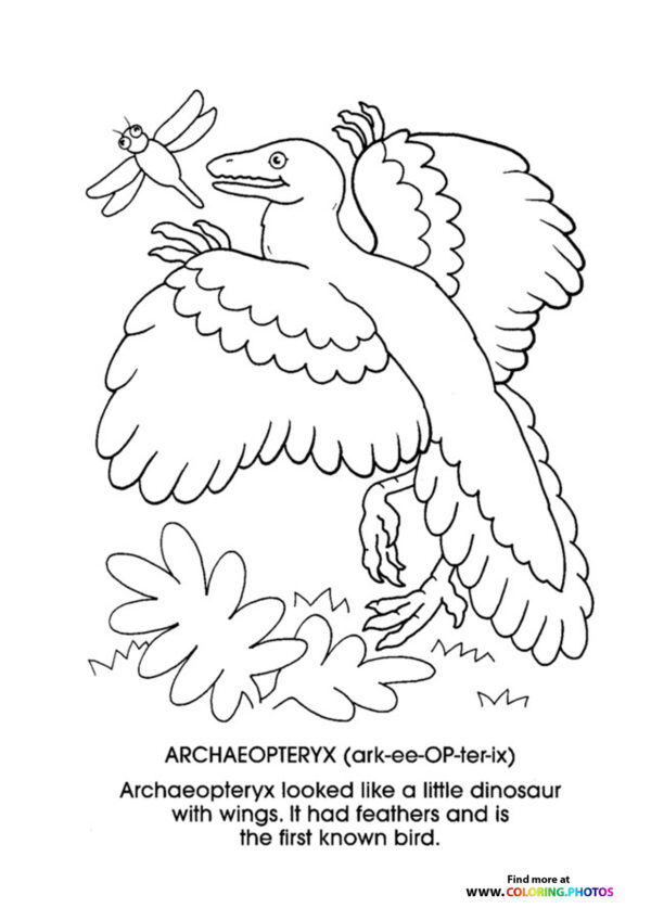 Archaeopterys