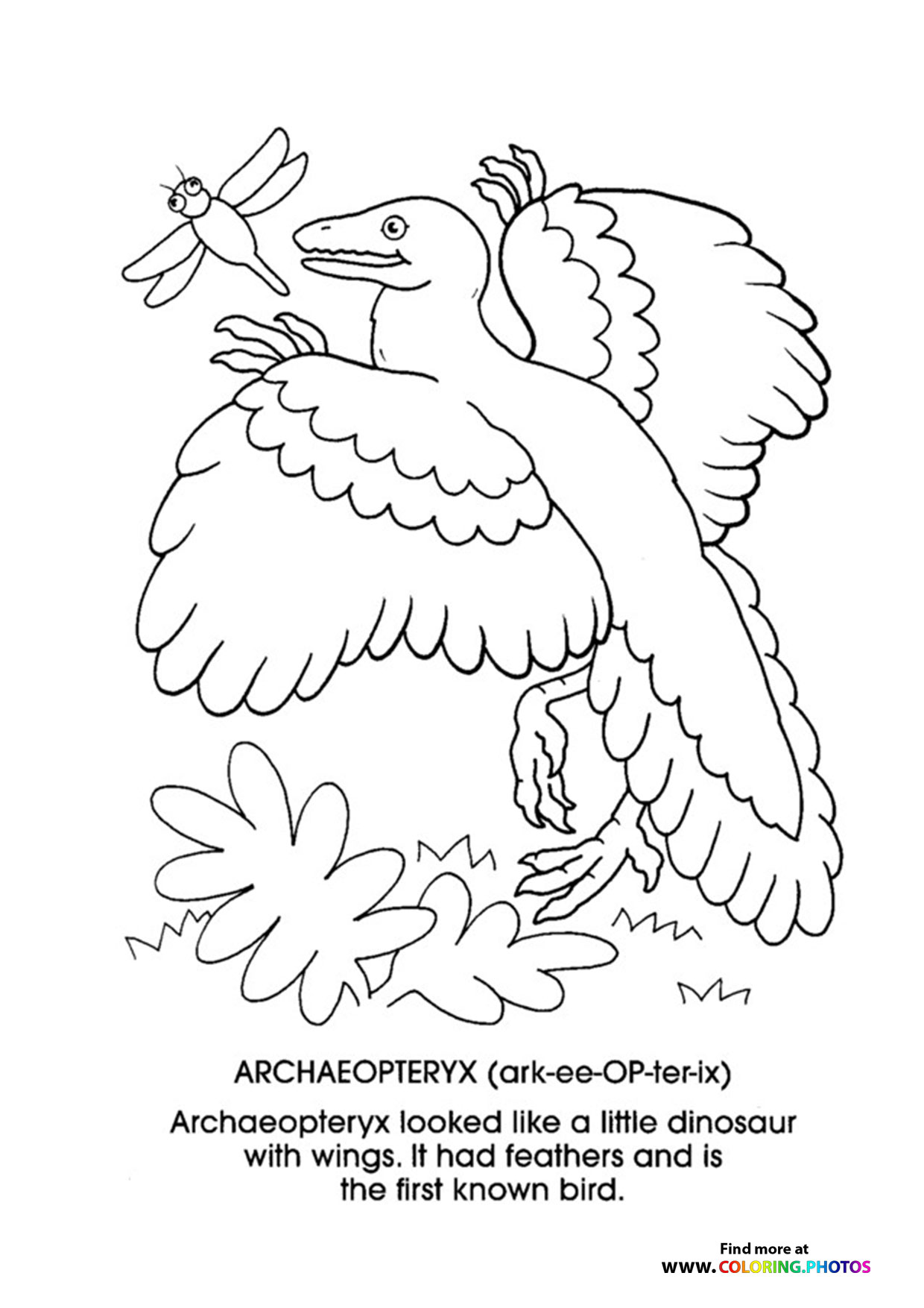 Archaeopterys