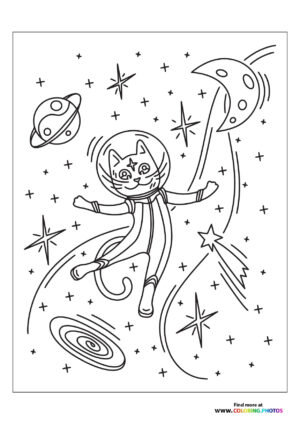 Astronaut cat