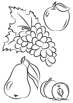 Autumn fruits