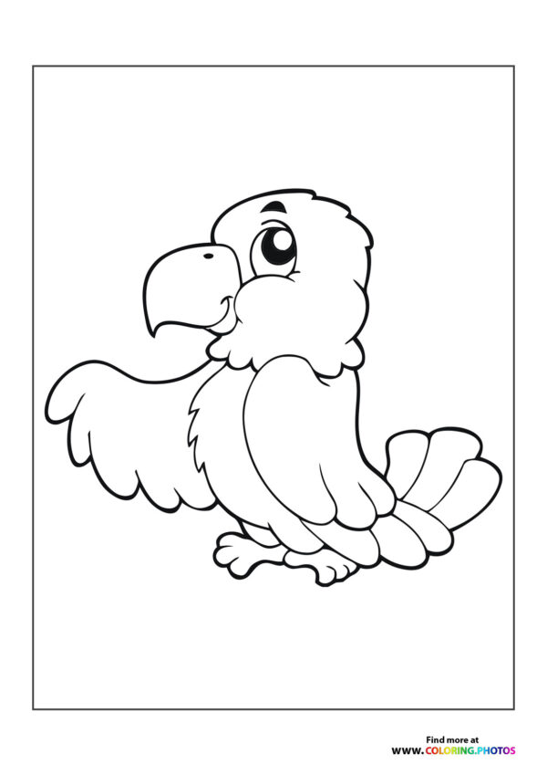 Baby eagle