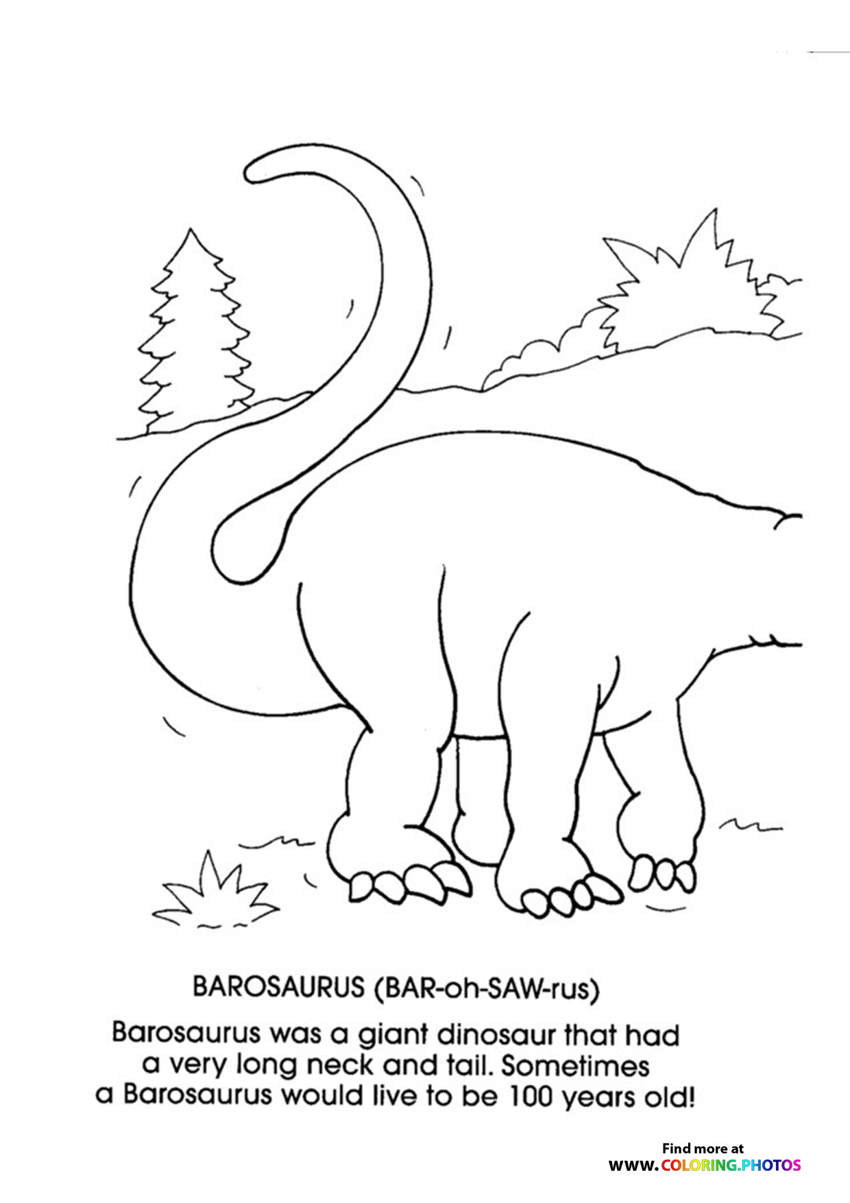 Barosaurus1