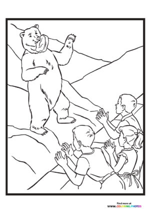 Bear in zoo