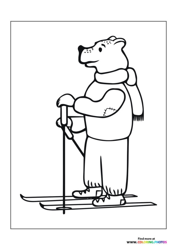 Bear skiing