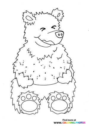 Bear with watermelon