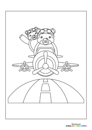 Bears in a plane