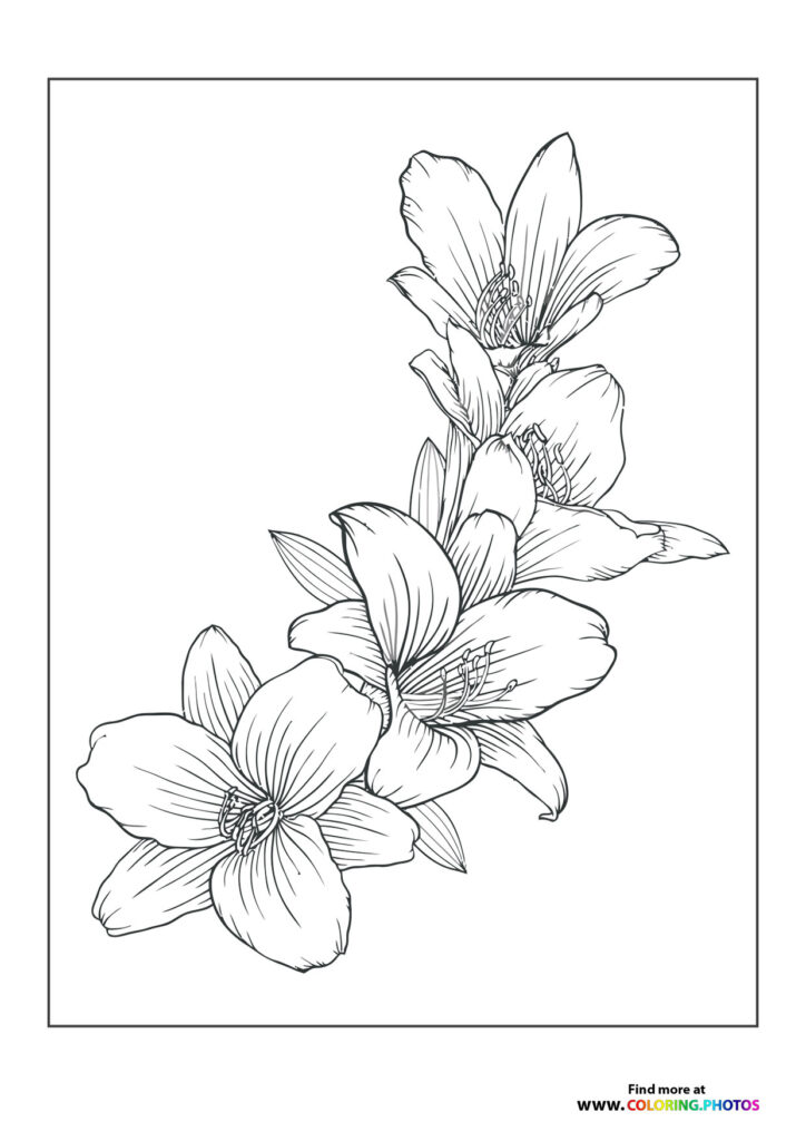 Beautiful flowers