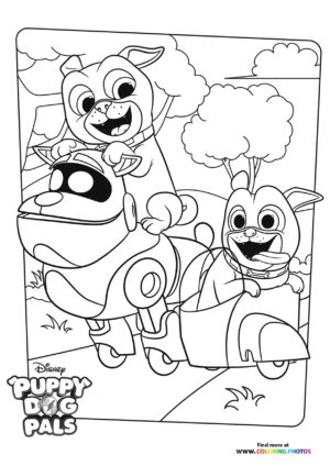 Bingo, Rolly and A.R.F