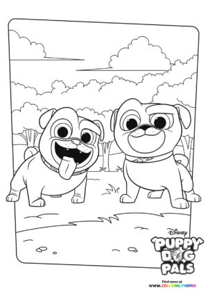 Bingo and Rolly