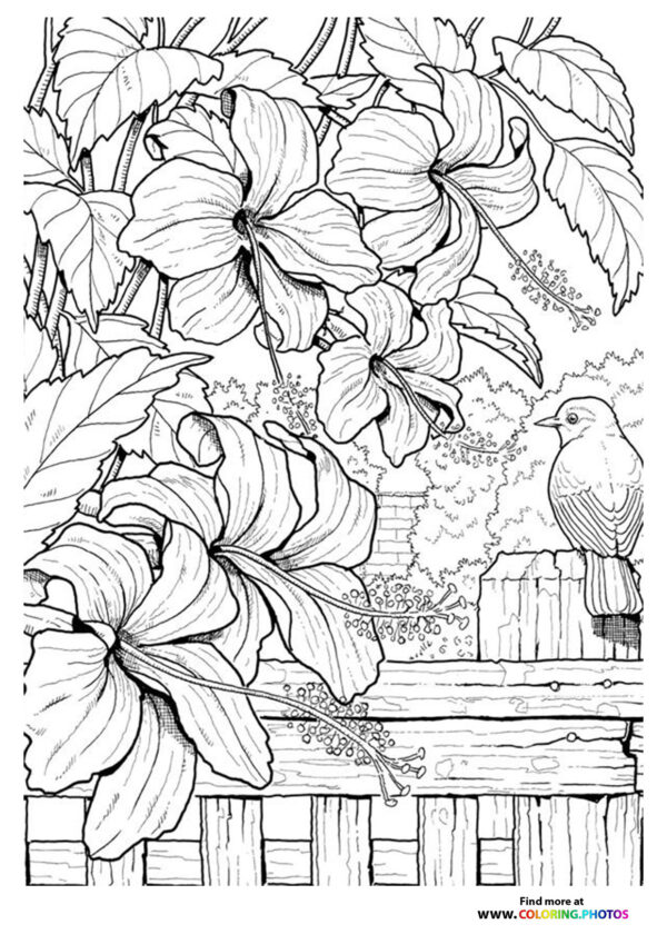 Bird in flowers coloring for adults