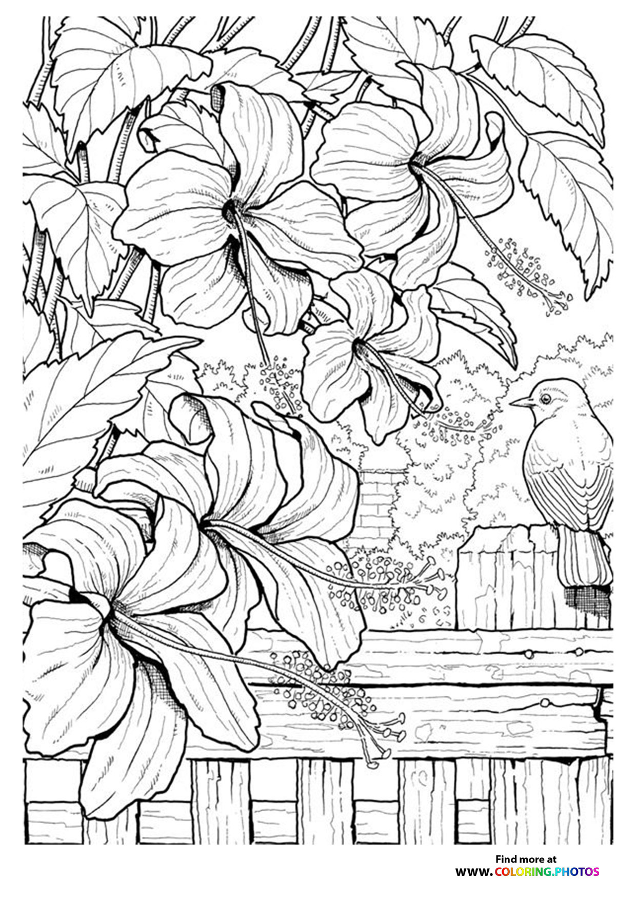 Bird in flowers coloring for adults