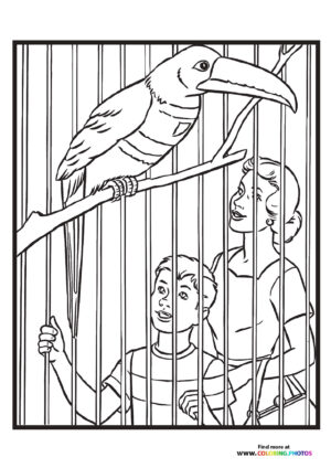 Bird in a zoo
