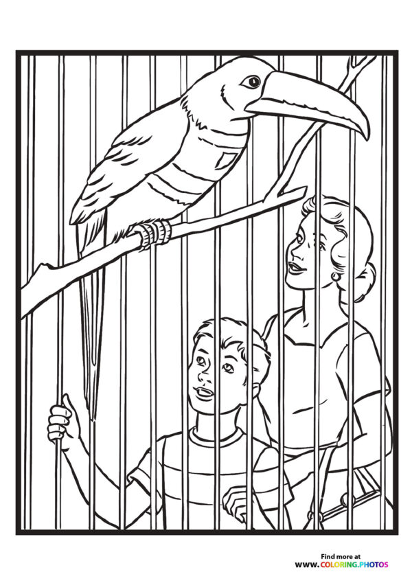 Bird in a zoo