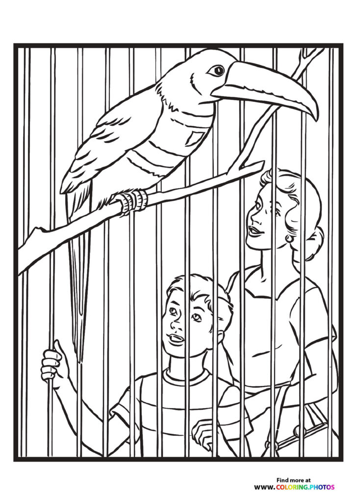 Bird in a zoo