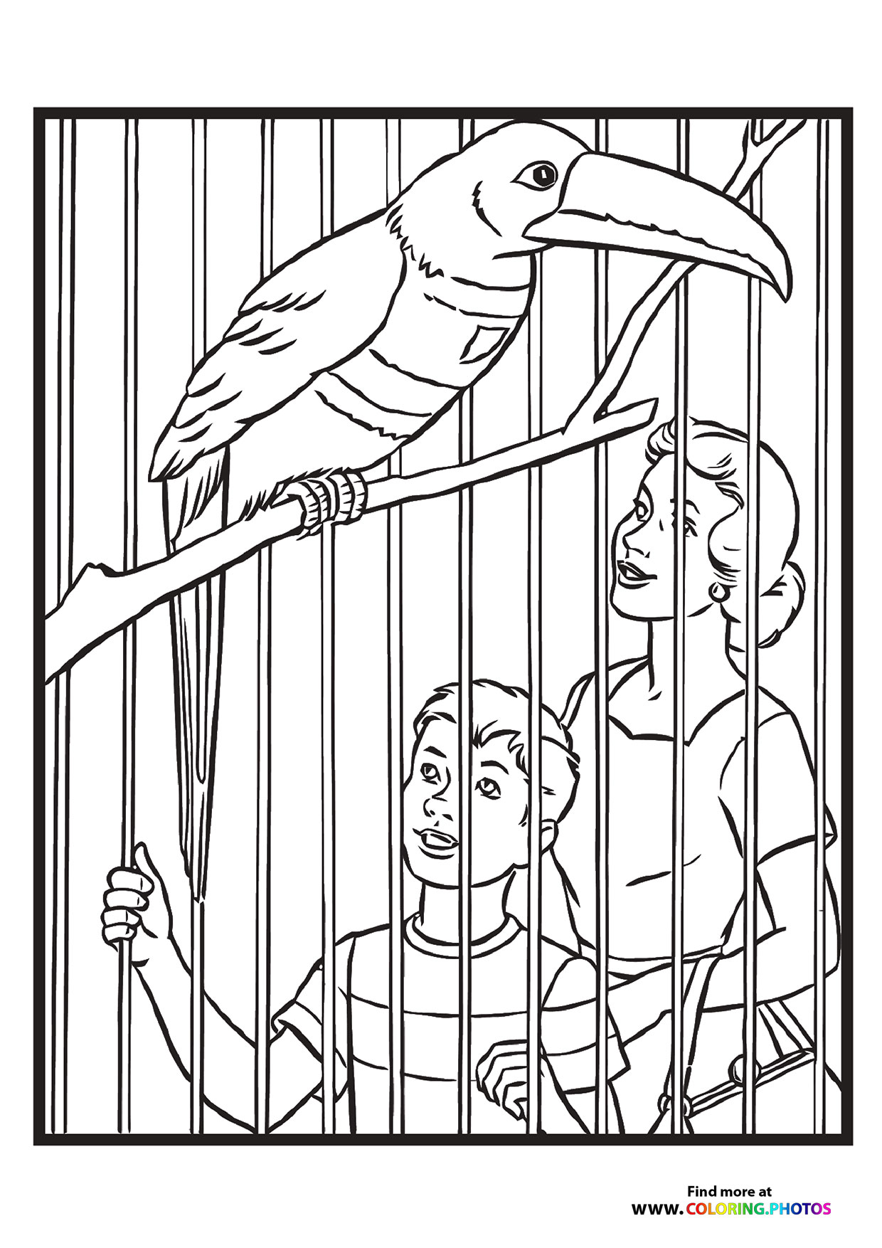 Bird in a zoo