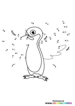 Bird wings dot the dots
