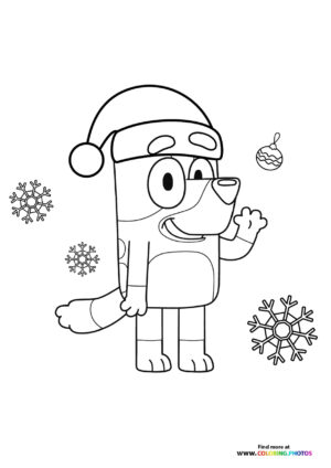Christmas Dog in Santa Hat