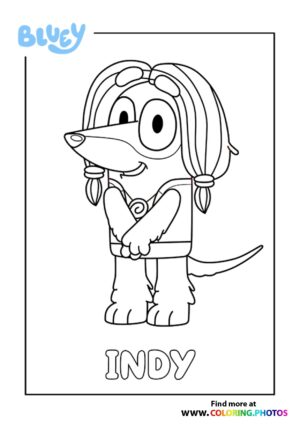 Bluey Indy