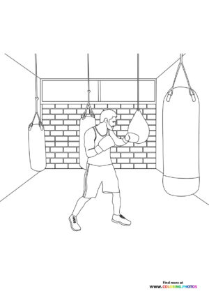 Boxer in gym