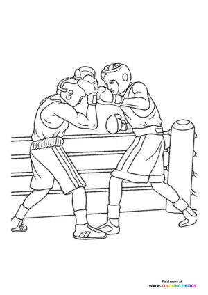 Boxers fighting