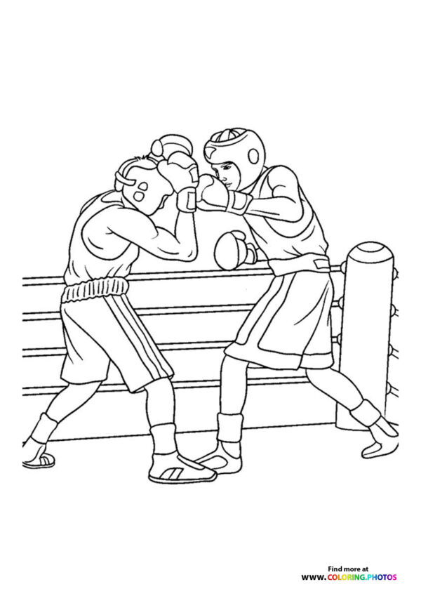 Boxers fighting