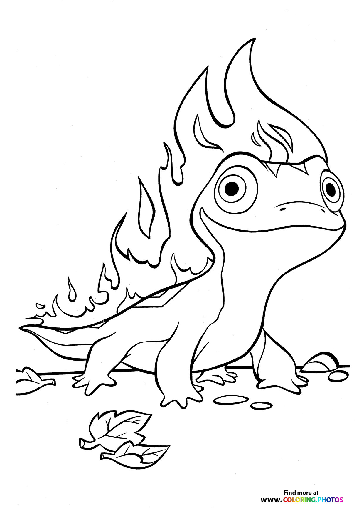 Bruni the Fire Salamander