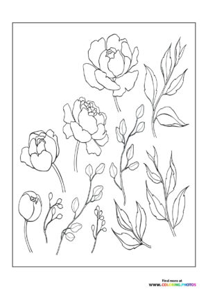 Bunch of flowers