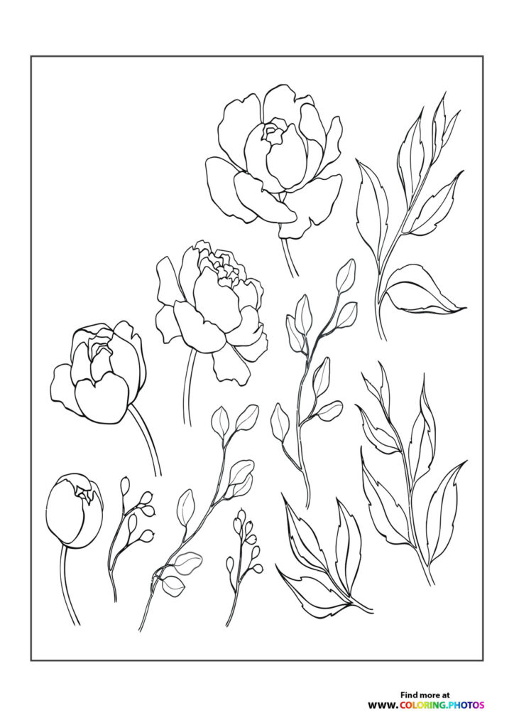 Bunch of flowers