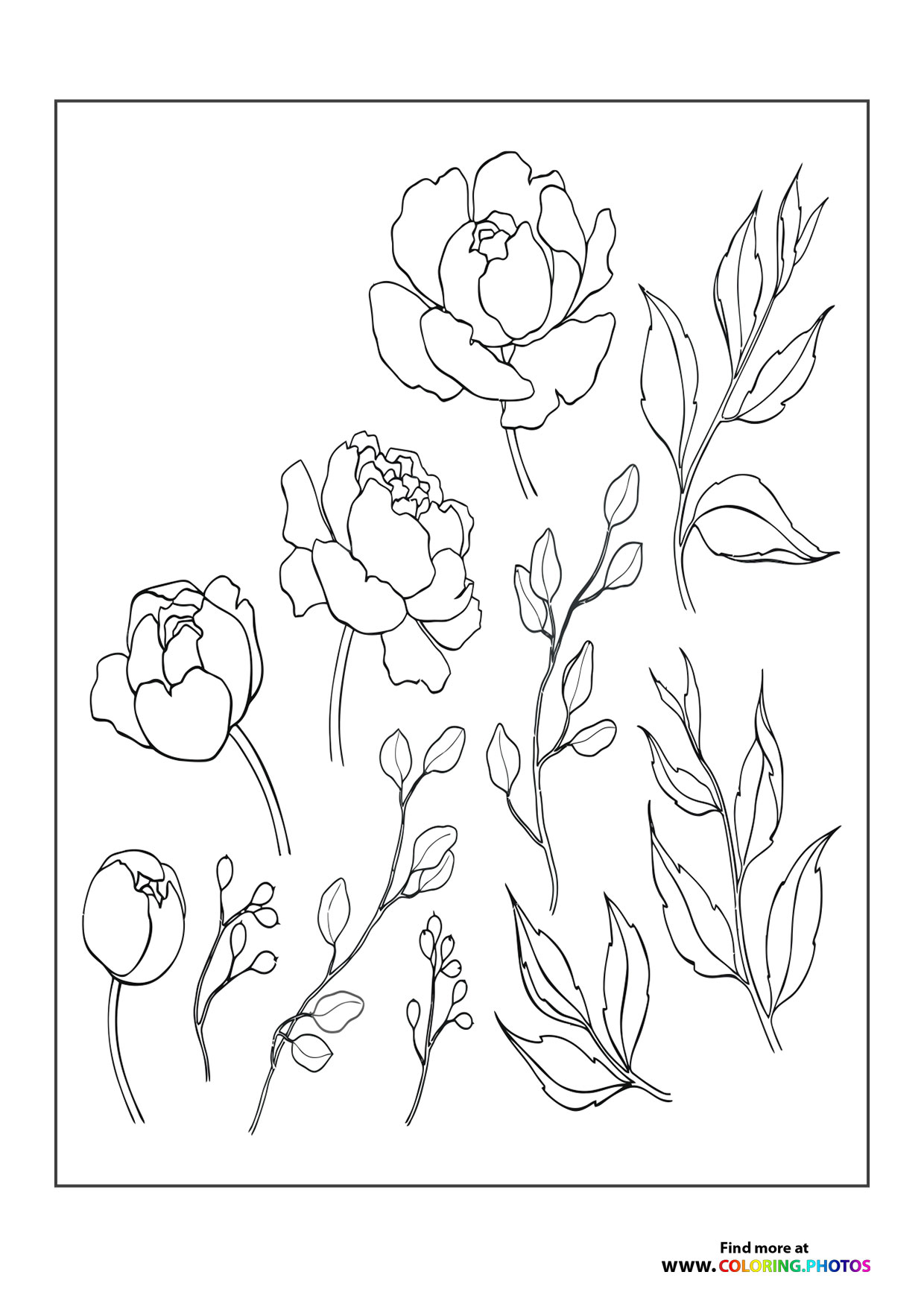 Bunch of flowers