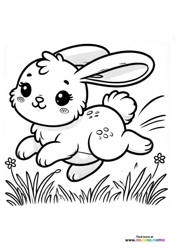 Bunny running on grass